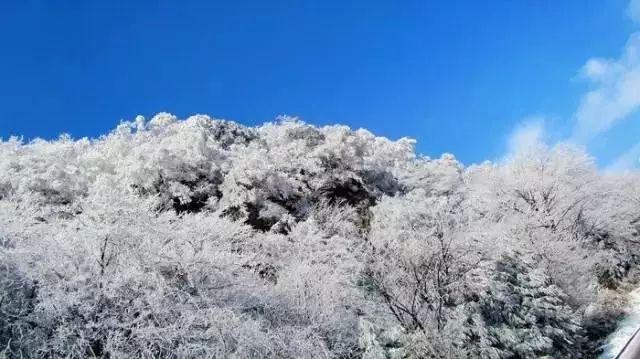 是不是我一事无成就只是个花瓶你也会喜欢我？游戏画面